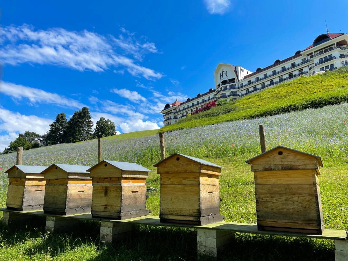 Hotel Royal Evian-les-Bains Exterior photo